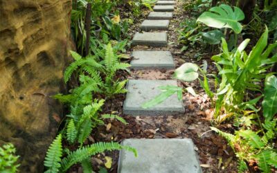 How to Lay a Stepping Stone Path